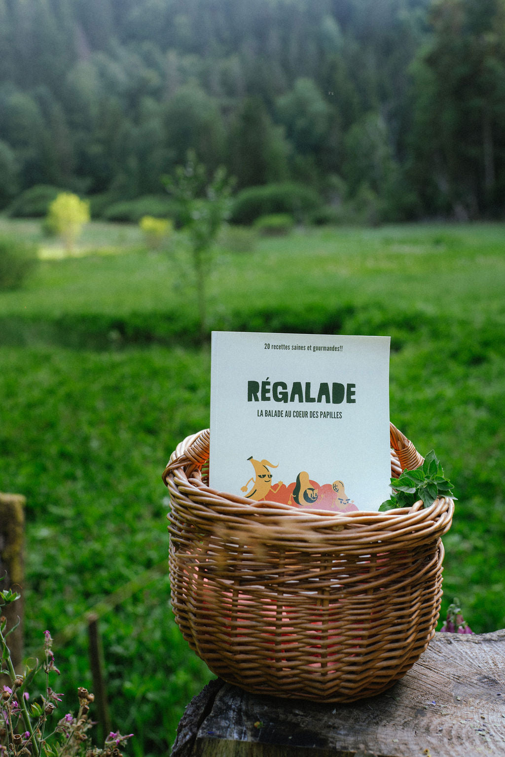 Livre de recettes saines et gourmandes VOL 2 REGALADE