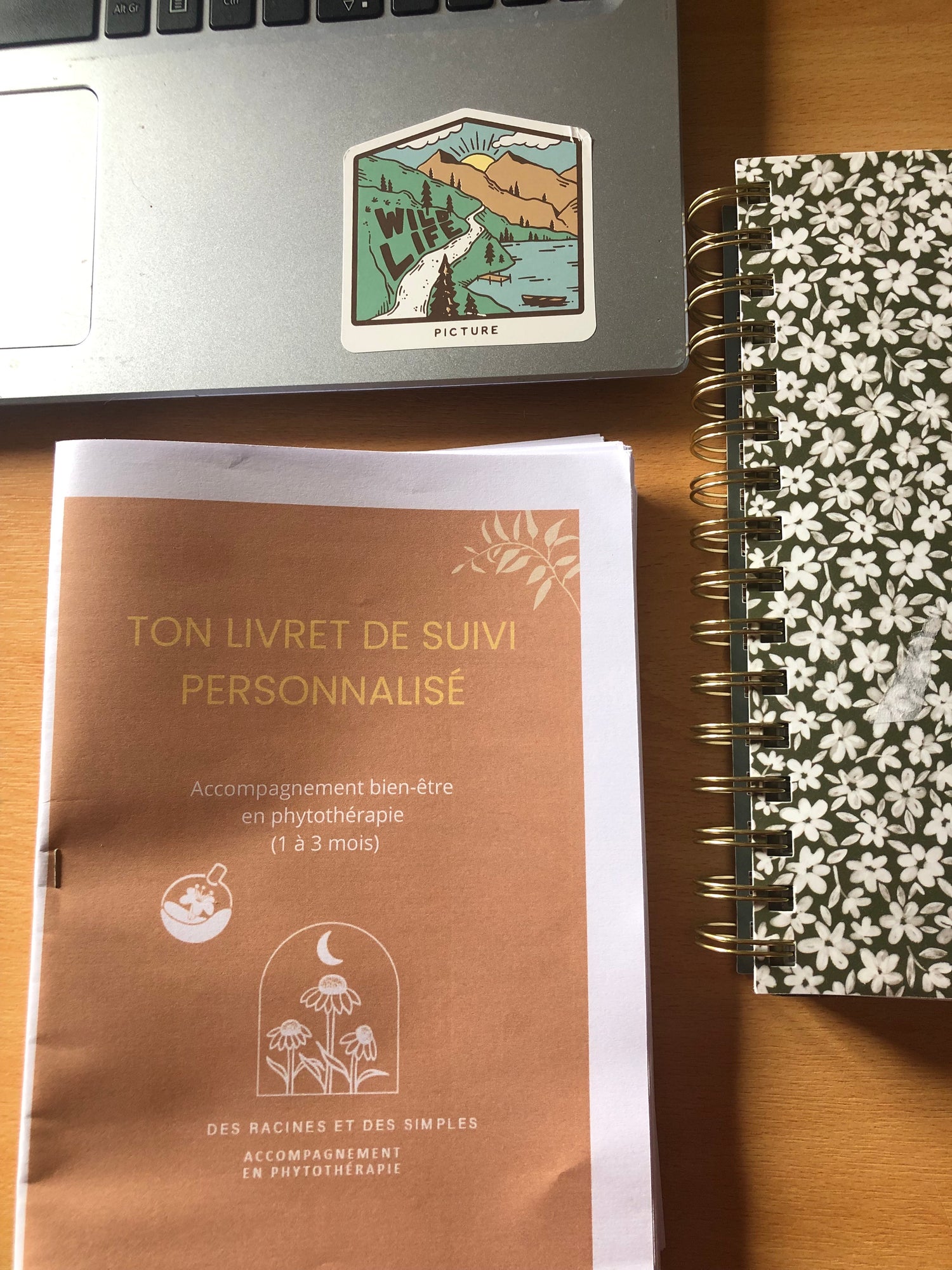 Illustration d’une séance de suivi en phytothérapie naturelle