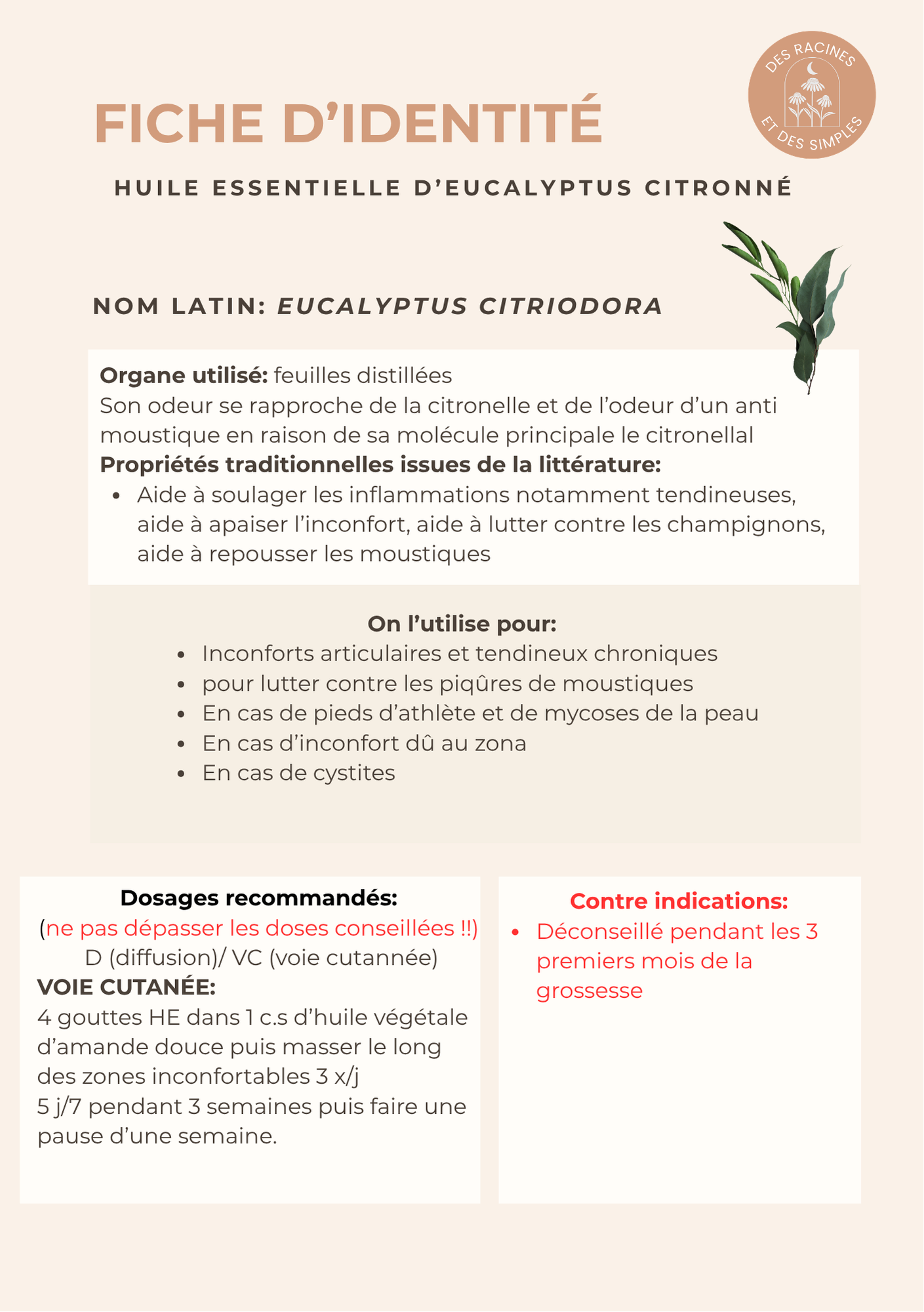 POCHETTE LES INDISPENSABLES DE L'ETE