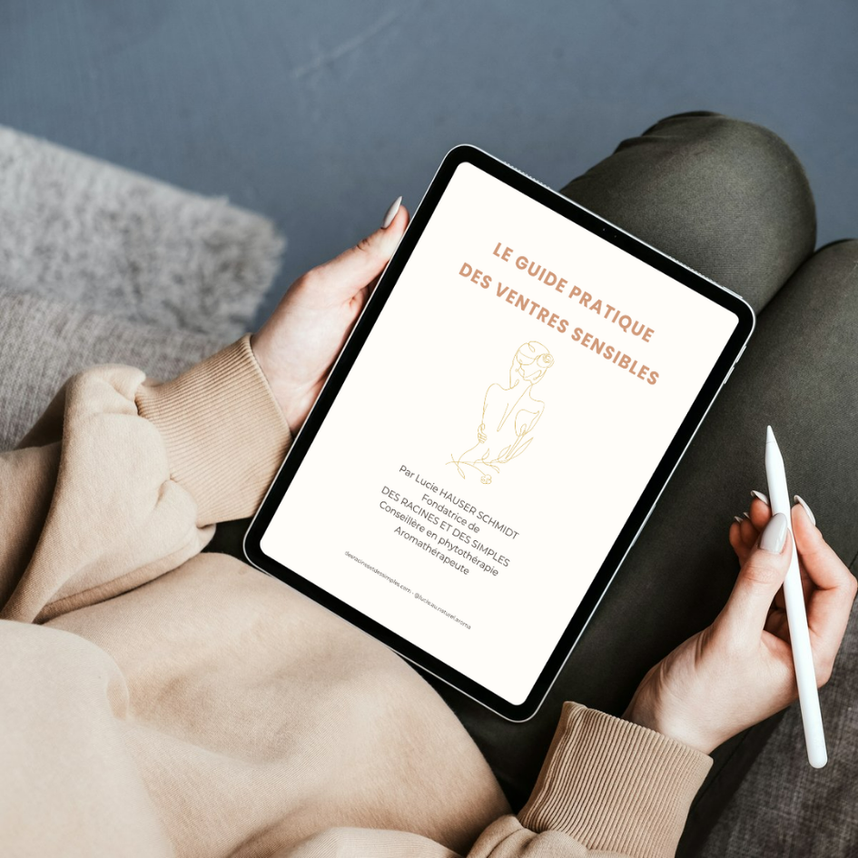 Ebook guide pratique des ventres sensibles
