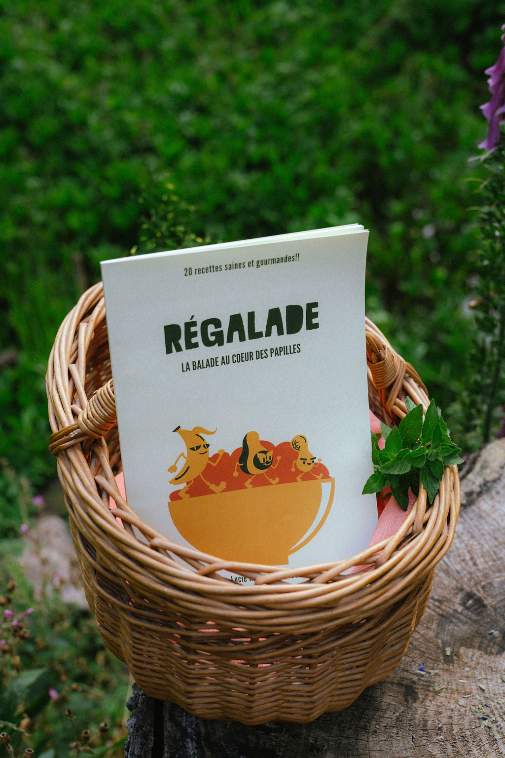 Livre de recettes saines et gourmandes VOL 2 REGALADE