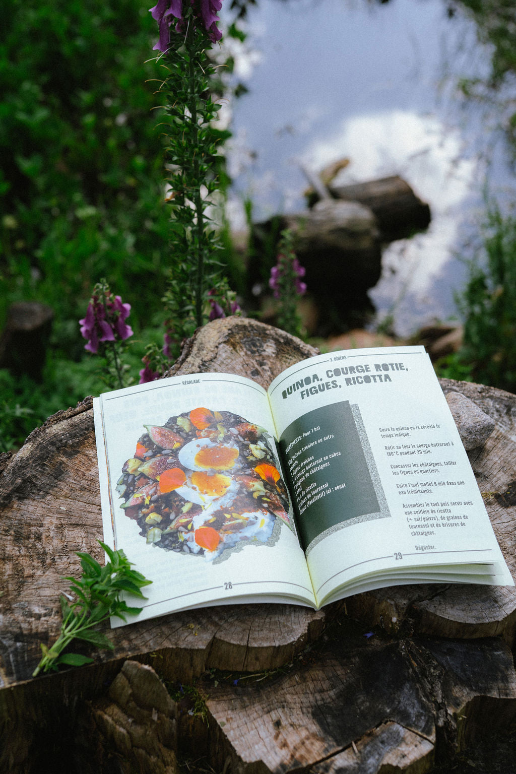 Livre de recettes saines et gourmandes VOL 2 REGALADE