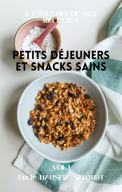 Ebook petits déjeuners et snacks sains