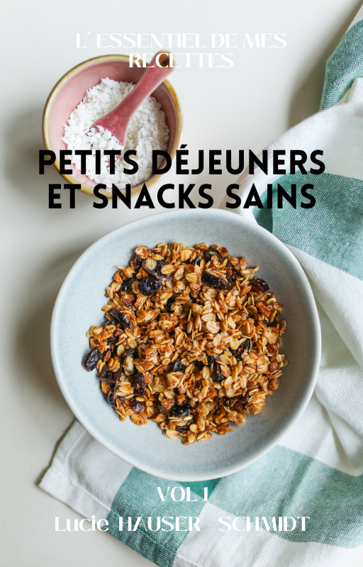 Ebook PETITS DEJEUNERS ET SNACKS SAINS