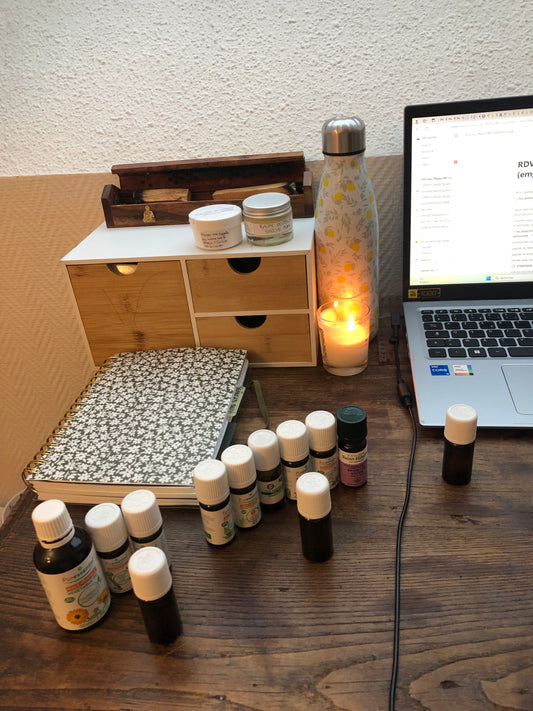 Bilan phytothérapie personnalisé pour femmes avec troubles chroniques