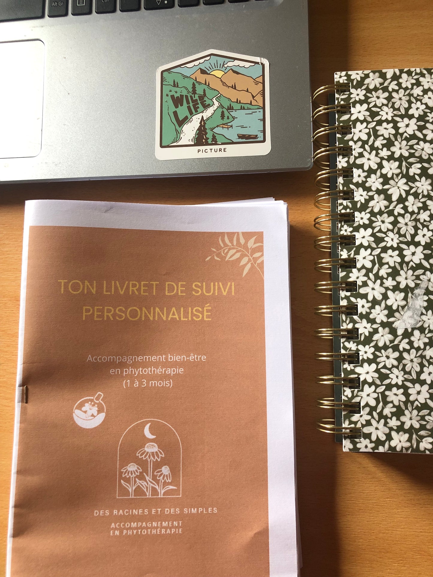 Illustration d’une séance de suivi en phytothérapie naturelle
