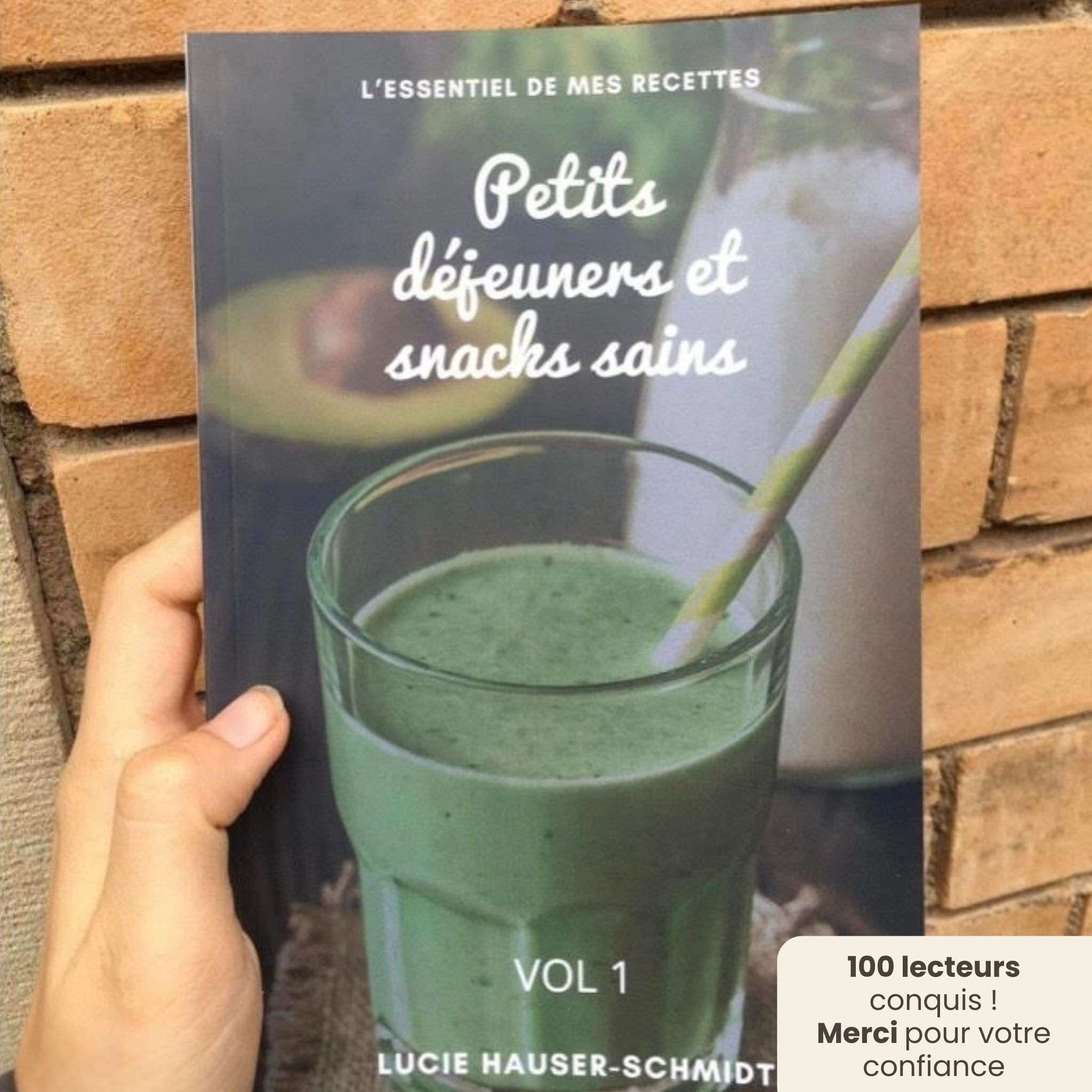 Livre petits déjeuners et snacks sains