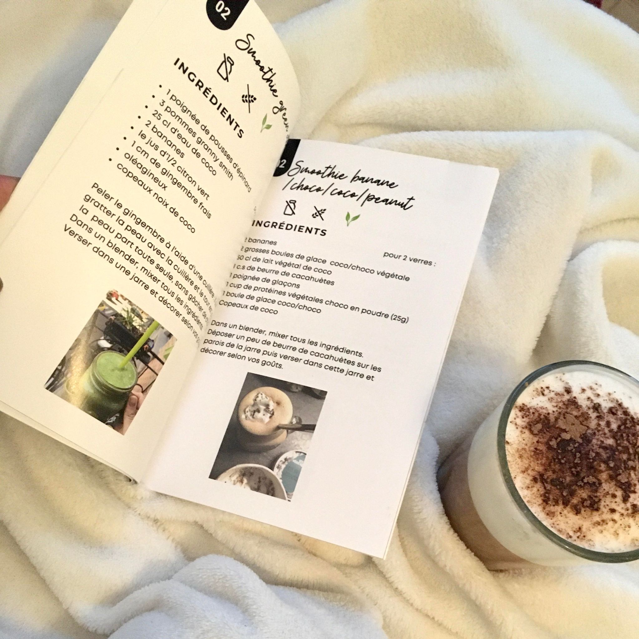 Livre petits déjeuners et snacks sains