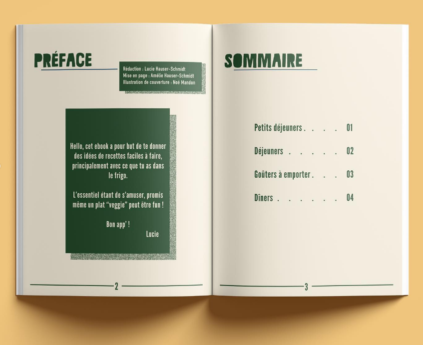 Livre papier VOL 2 REGALADE