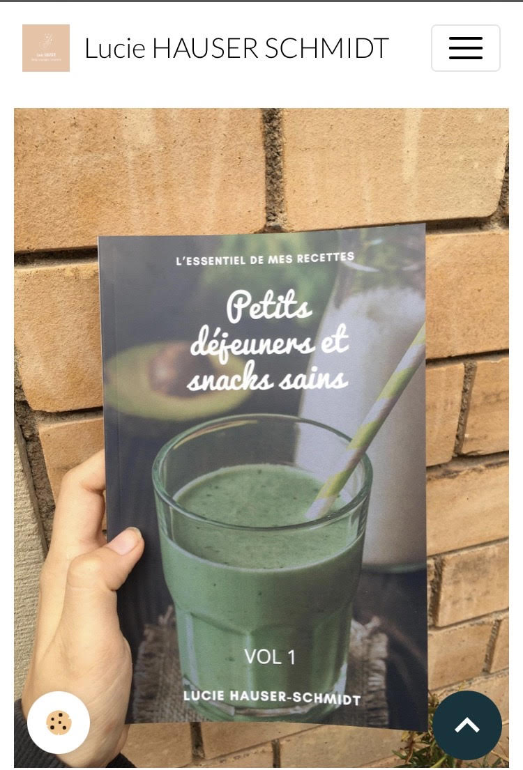 Livre petits déjeuners et snacks sains